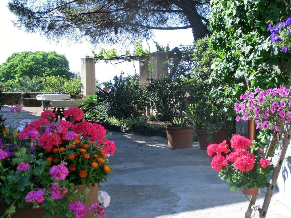 Il Limoneto Acireale Villa Exteriör bild