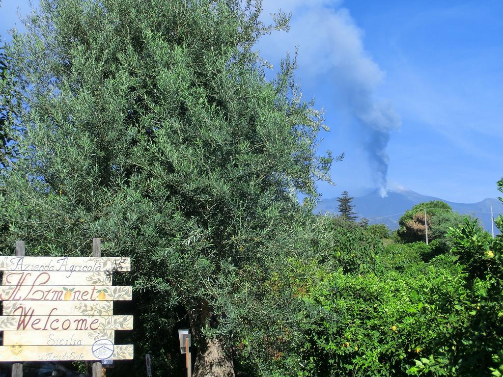 Il Limoneto Acireale Villa Exteriör bild