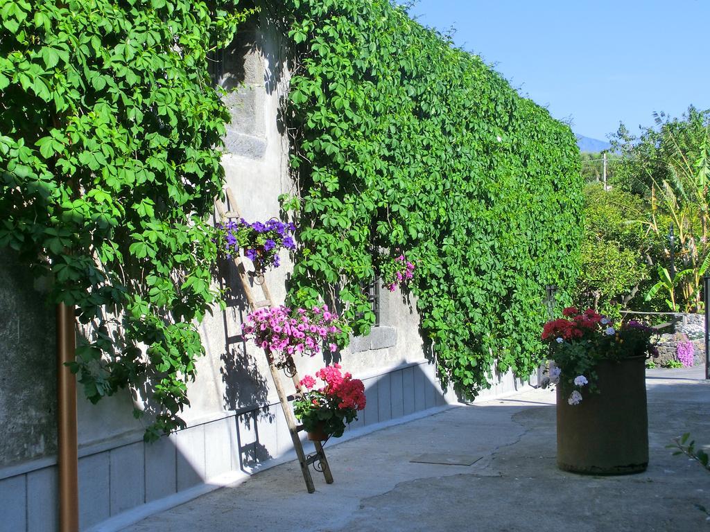 Il Limoneto Acireale Villa Exteriör bild