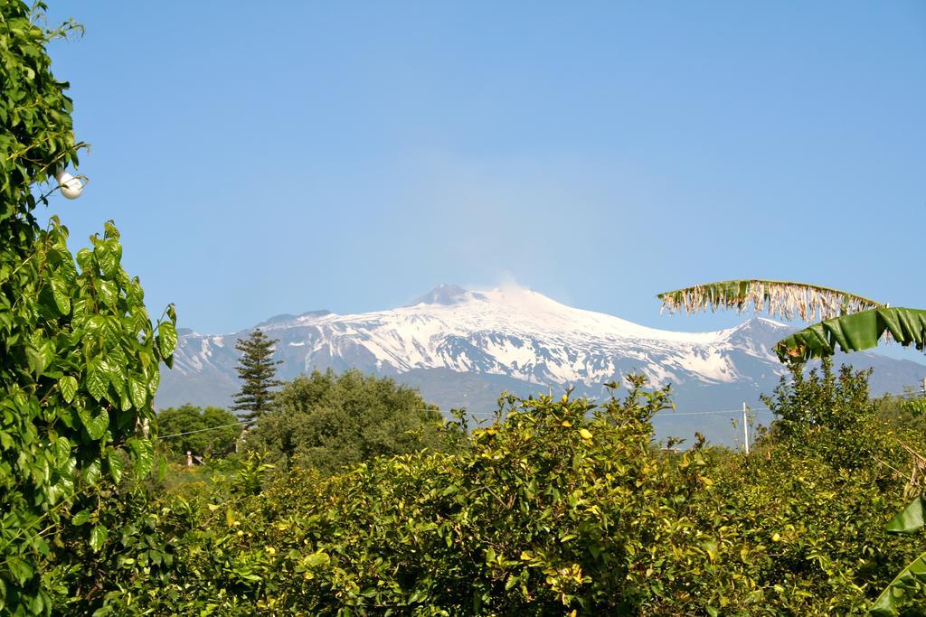 Il Limoneto Acireale Villa Exteriör bild