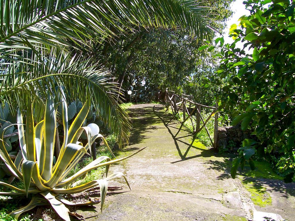 Il Limoneto Acireale Villa Exteriör bild
